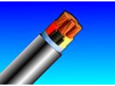 额定电压0.6.jpg 额定电压0.6.jpg